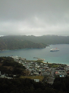W]䂩